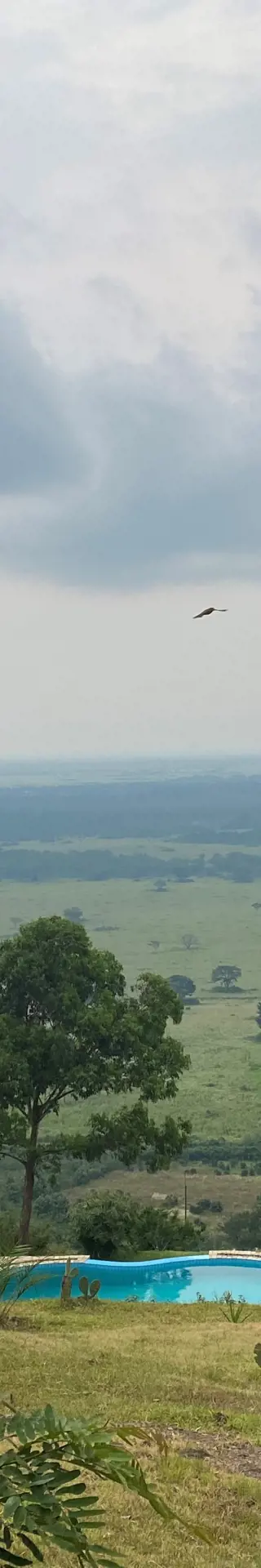 Nächster Stopp: Queen Elizabeth Nationalpark